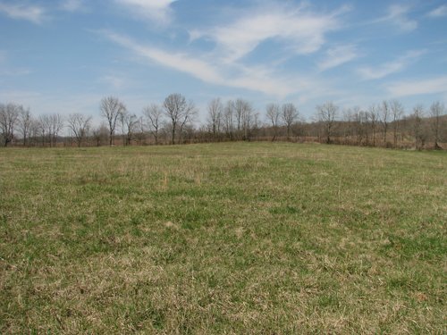 Property photo 52 - 137 Acres in 2 Tracts - 64 Tillable Acres, Potential Building Sites, Hunting